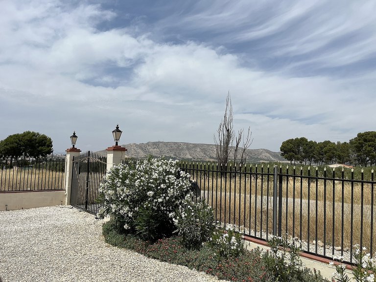 Country House for Sale in Villena, Alicante 48
