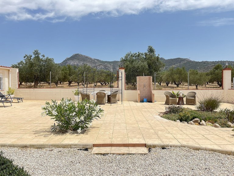 Country House for Sale in Villena, Alicante 37