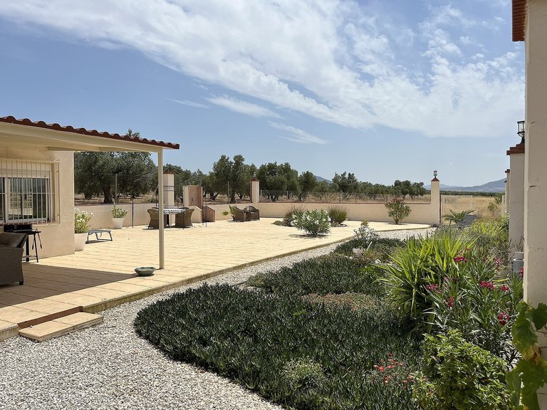 Country House for Sale in Villena, Alicante 42