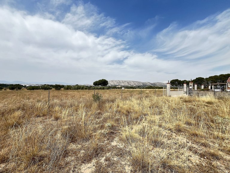 Country House for Sale in Villena, Alicante 50