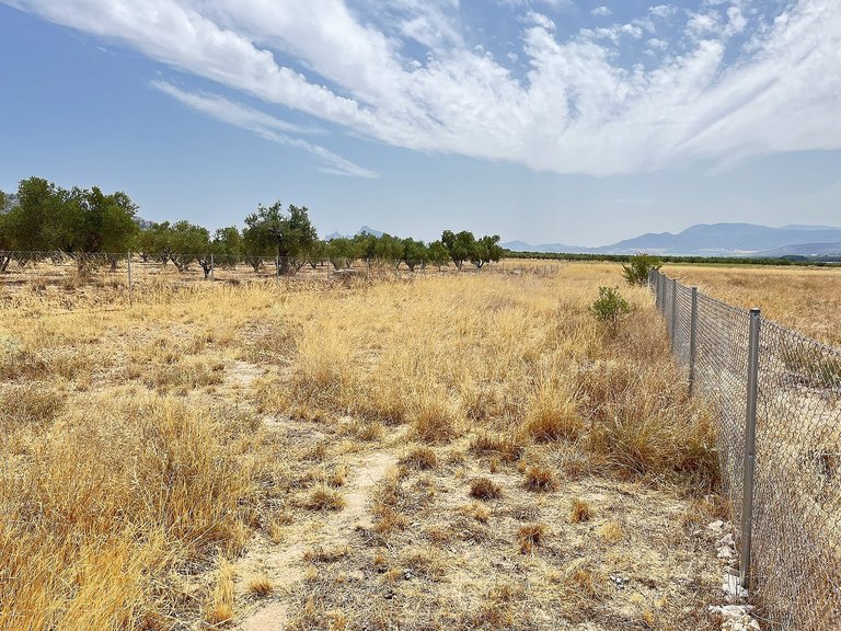 Country House for Sale in Villena, Alicante 49