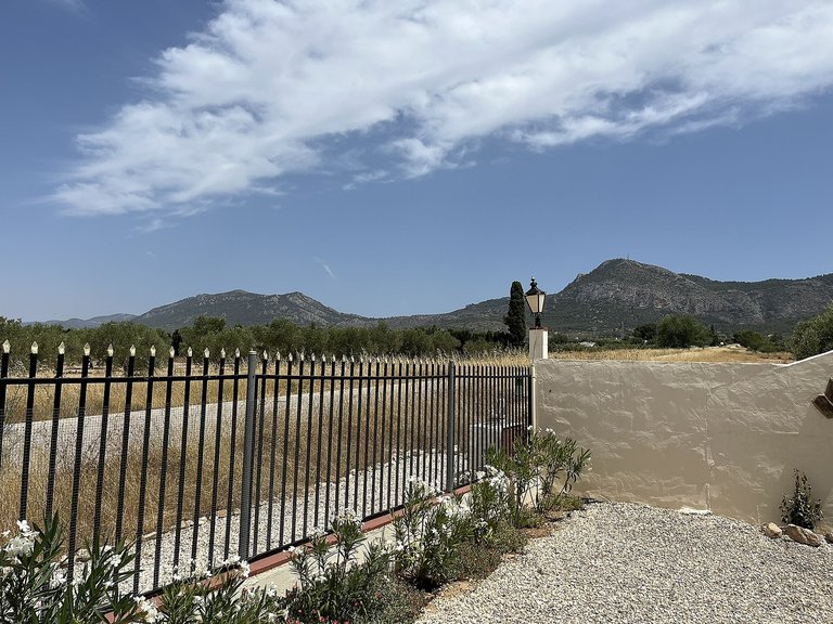 Country House for Sale in Villena, Alicante 46