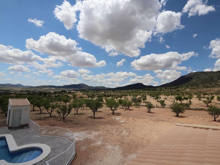 Villa for Sale in Inland Sax, Alicante 15