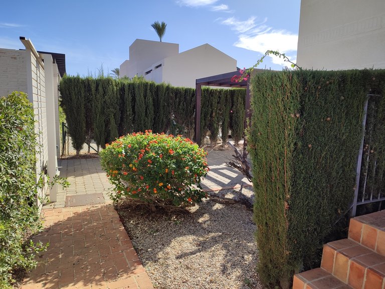 Villa for Sale in Inland Peraleja Golf, Murcia 50
