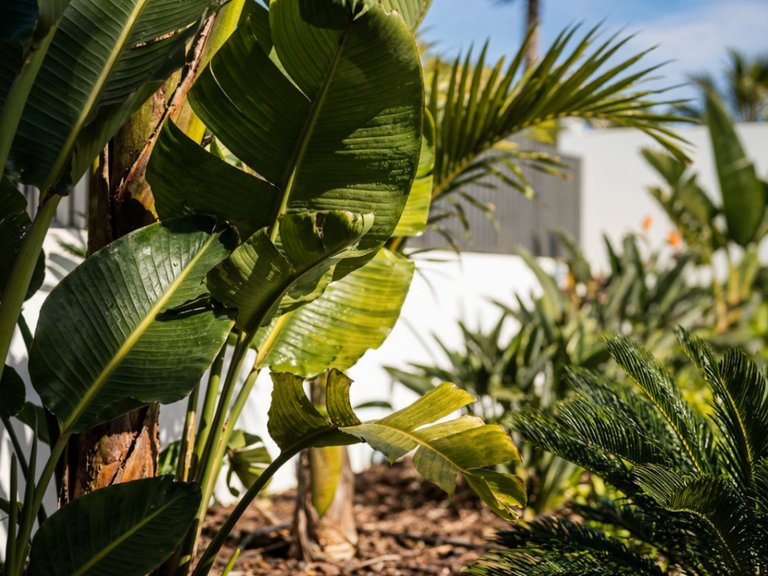 Villa for Sale in Costa Blanca Calpe, Alicante 16