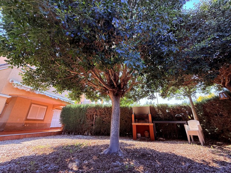 Town House for Sale in Costa Blanca Mil Palmeras, Alicante 37