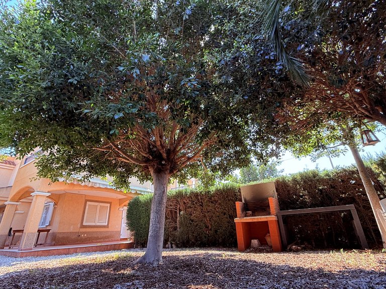 Town House for Sale in Costa Blanca Mil Palmeras, Alicante 39