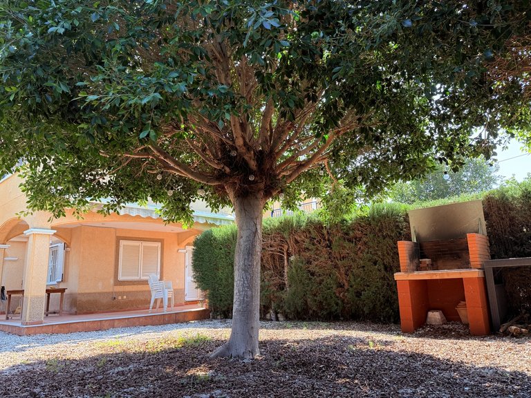 Town House for Sale in Costa Blanca Mil Palmeras, Alicante 40