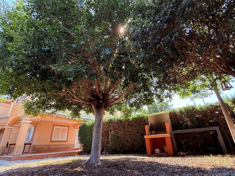 Town House for Sale in Costa Blanca Mil Palmeras, Alicante 38