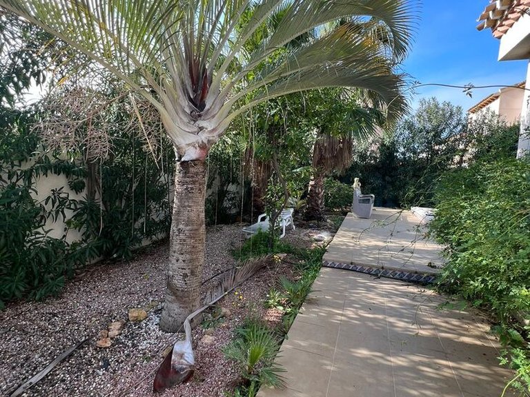 Villa for Sale in Costa Blanca Playa Flamenca, Alicante 10