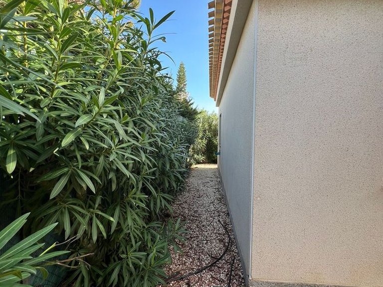 Villa for Sale in Costa Blanca Playa Flamenca, Alicante 9