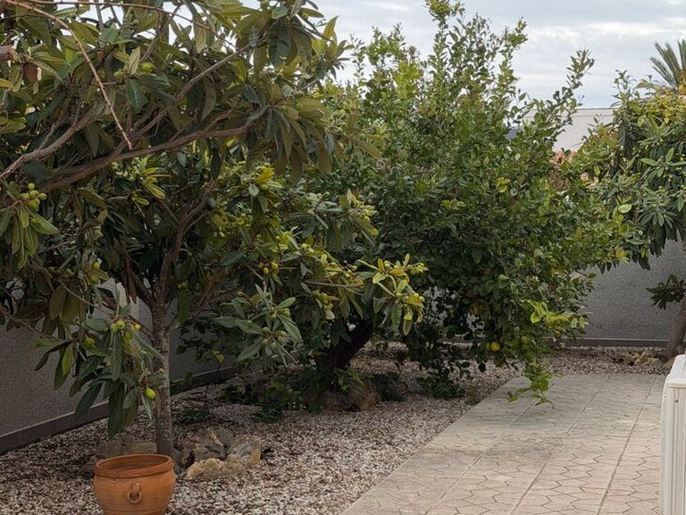 Villa for Sale in Costa Blanca Playa Flamenca, Alicante 16