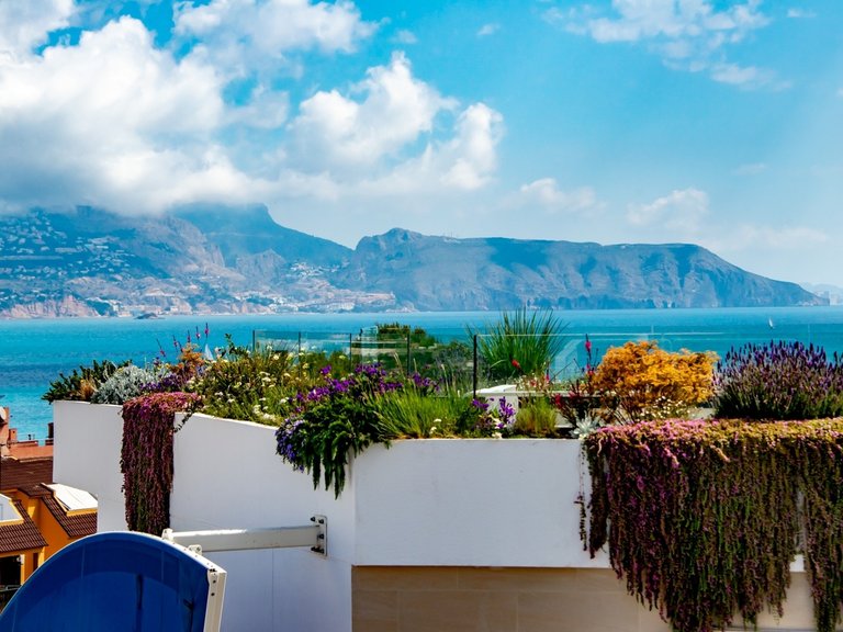 Apartment for Sale in Costa Blanca Alfas Del Pi, Alicante 2