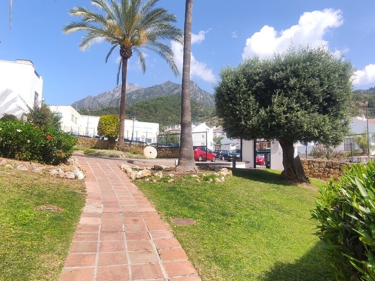Apartment for Sale in Marbella, Malaga 27