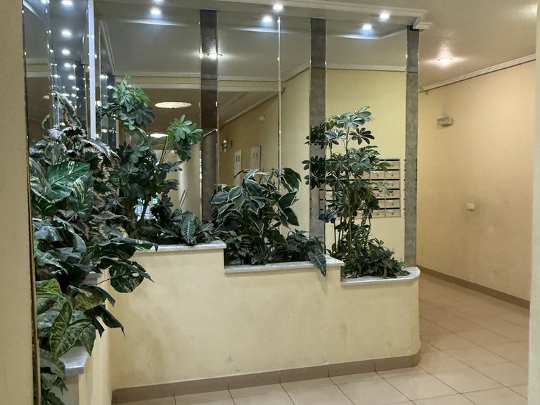 Apartment for Sale in Torrevieja, Alicante 10