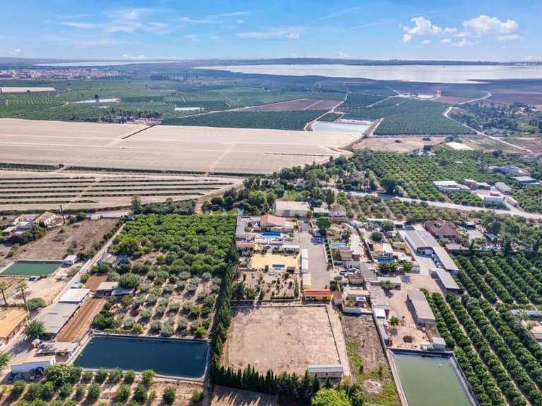 Country House for Sale in Costa Blanca Los Montesinos, Alicante 34