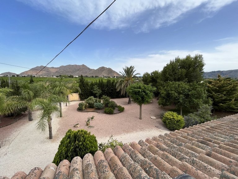 Villa for Sale in Inland Callosa De Segura, Alicante 15