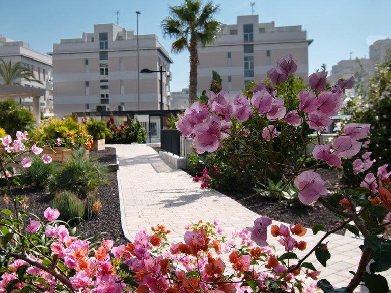 Apartment for Sale in Costa Blanca Orihuela Costa, Alicante 7