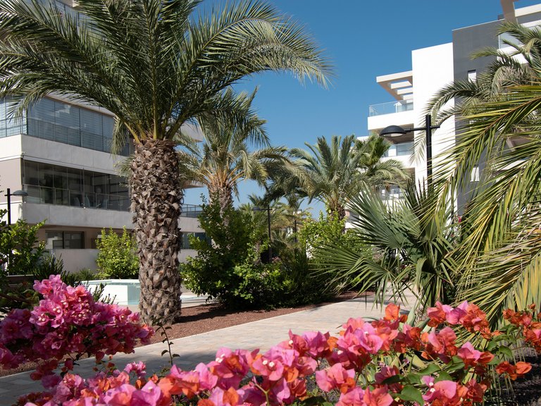 Apartment for Sale in Costa Blanca Orihuela Costa, Alicante 8