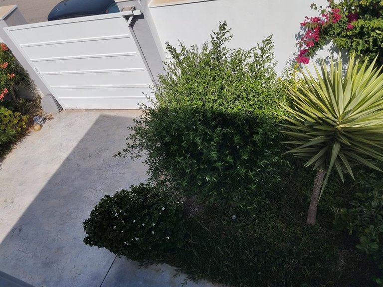 Villa for Sale in Costa Blanca Torrevieja, Alicante 24