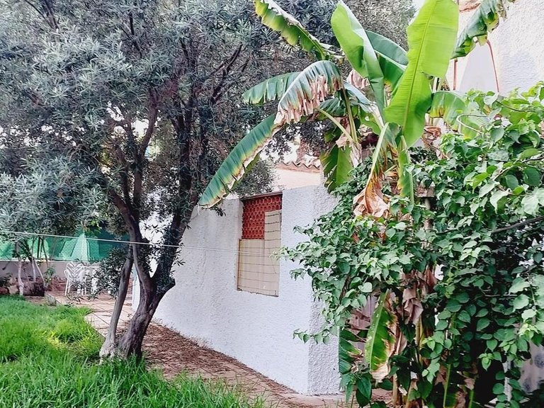 Villa for Sale in Costa Blanca Orihuela Costa, Alicante 31