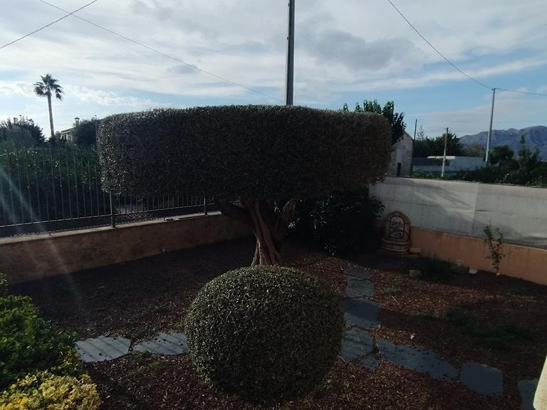 Villa for Sale in Inland Orihuela, Alicante 49