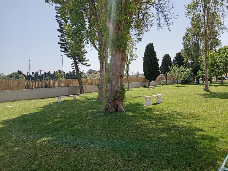 Town House for Sale in Torrevieja, Alicante 2