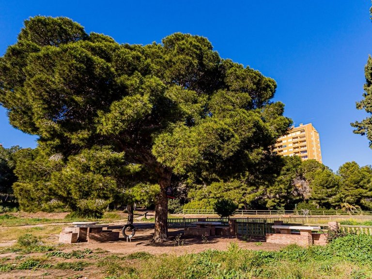 Town House for Sale in Costa Blanca Dehesa De Campoamor, Alicante 24