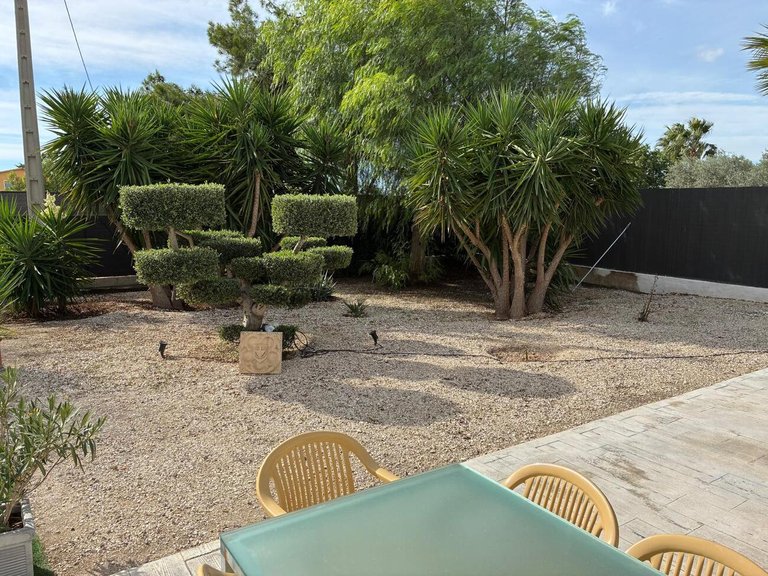 Villa for Sale in Inland Crevillent, Alicante 11