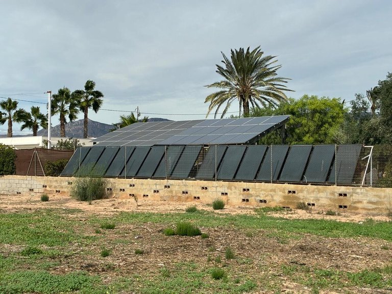 Villa for Sale in Inland Crevillent, Alicante 12