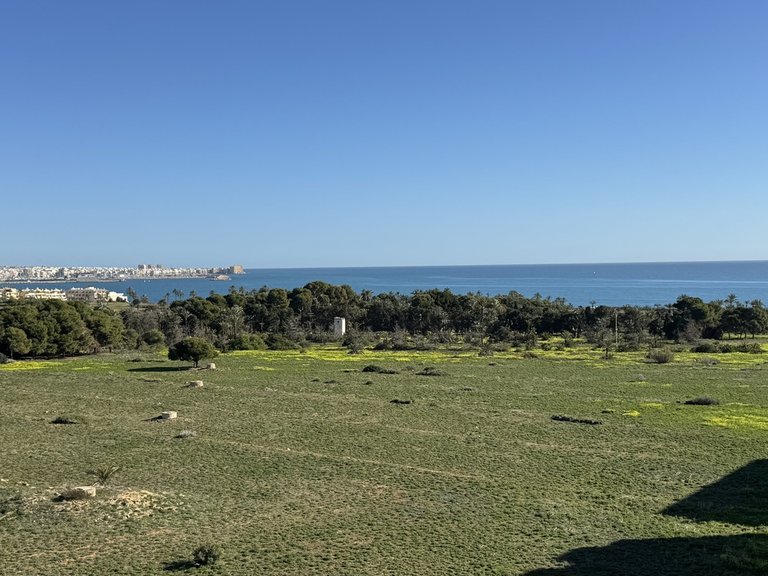 Penthouse for Sale in Punta Prima, Alicante 1