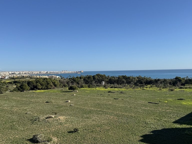 Penthouse for Sale in Punta Prima, Alicante 2