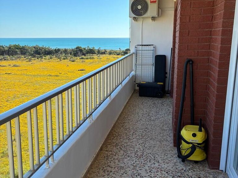 Penthouse for Sale in Punta Prima, Alicante 35