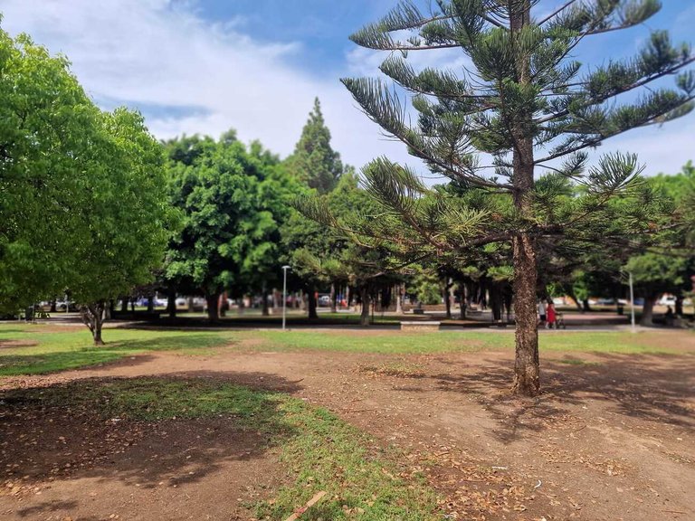 Apartment for Sale in Torrevieja, Alicante 10
