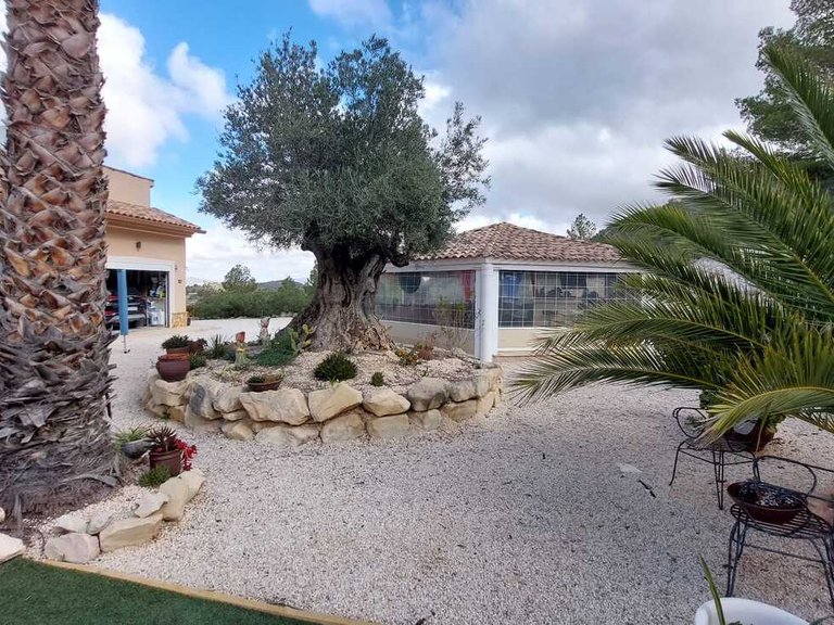 Villa for Sale in Inland Abanilla, Murcia 8