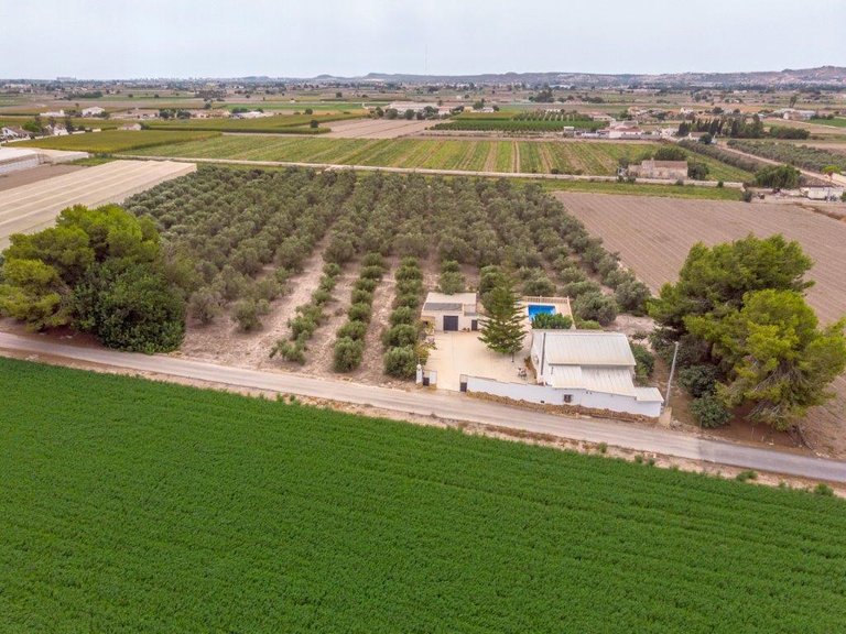 Country House for Sale in Costa Blanca Dolores, Alicante 1
