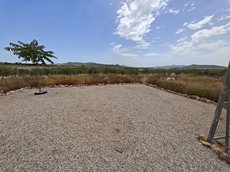 Country House for Sale in Lel, Alicante 15