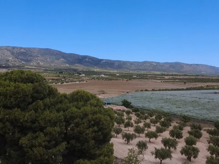 Country House for Sale in Lel, Alicante 5