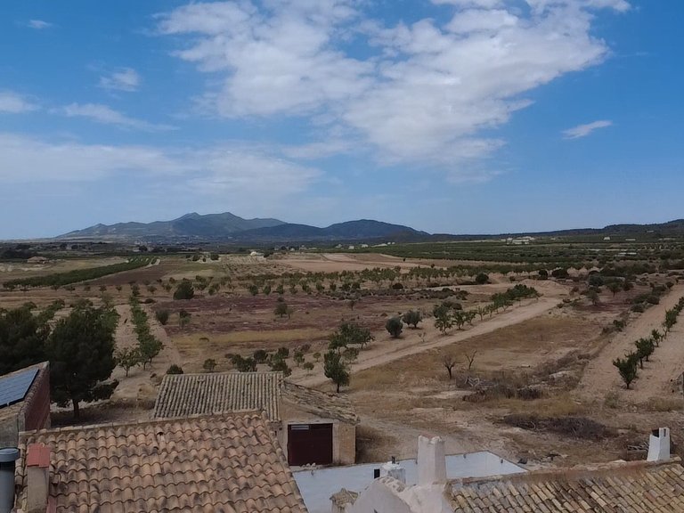 Country House for Sale in Lel, Alicante 6