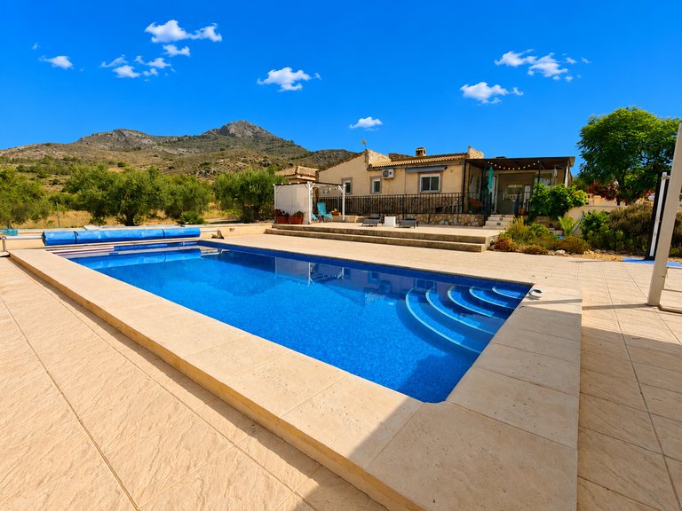 Villa for Sale in Inland Sax, Alicante 18