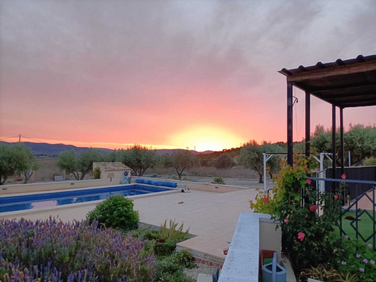 Villa for Sale in Inland Sax, Alicante 36