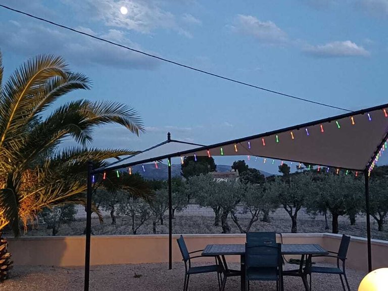 Villa for Sale in Inland Sax, Alicante 39