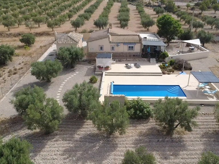 Villa for Sale in Inland Sax, Alicante 8