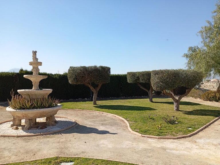 Town House for Sale in Catral, Alicante 6