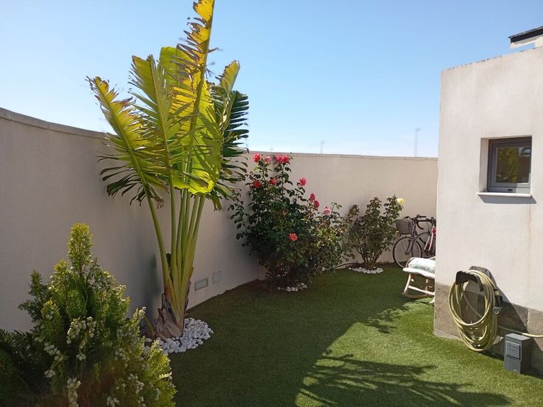 Villa for Sale in Costa Blanca Daya Nueva, Alicante 43