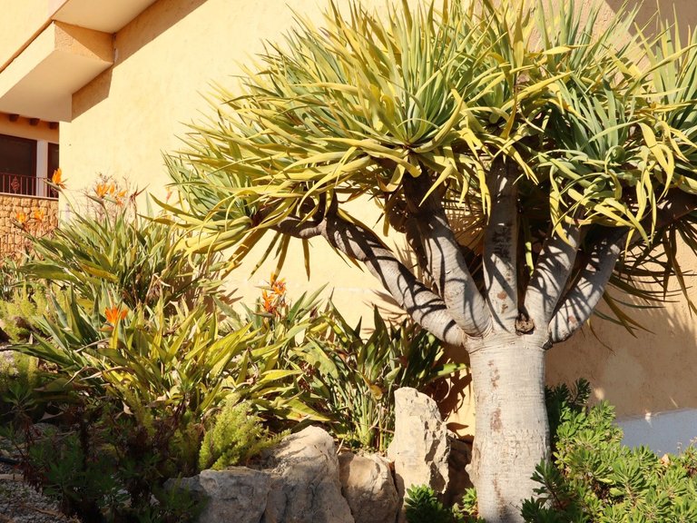 Villa for Sale in Costa Blanca Altea, Alicante 15