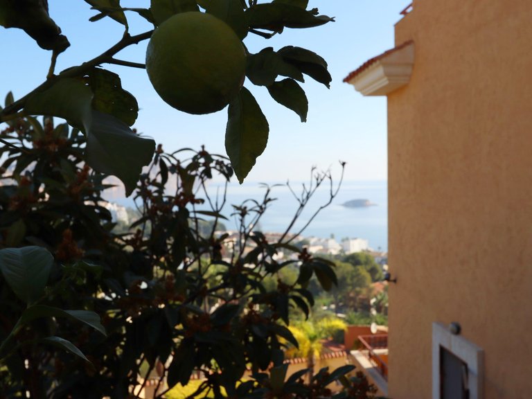 Villa for Sale in Costa Blanca Altea, Alicante 18