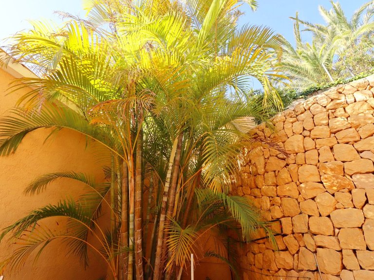 Villa for Sale in Costa Blanca Altea, Alicante 21