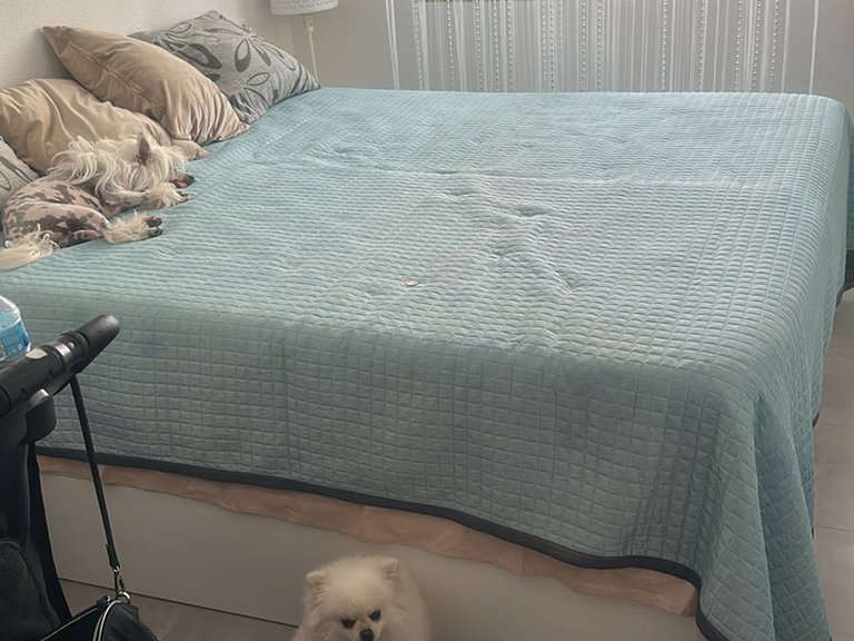 Penthouse for Sale in Torrevieja, Alicante 10