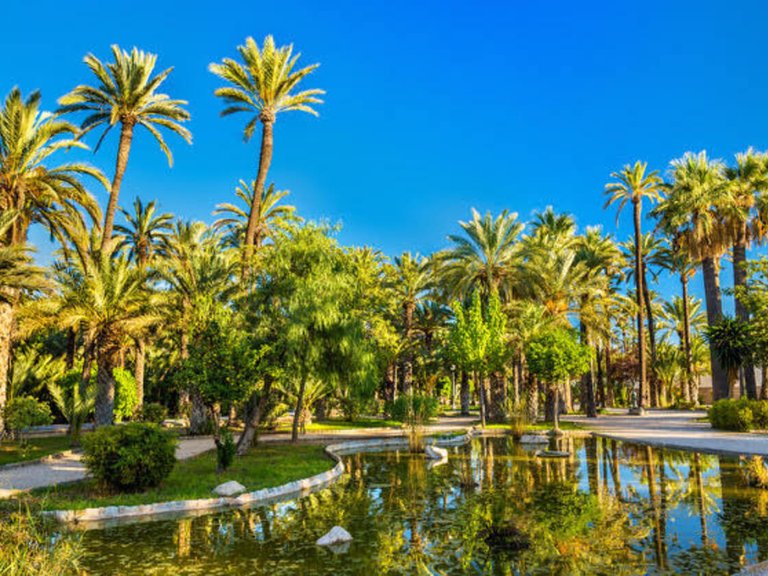 Villa for Sale in Costa Blanca Guardamar Del Segura, Alicante 36